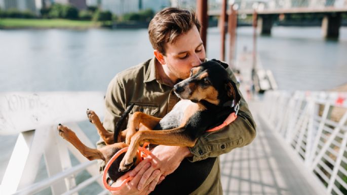 ¡Tener una mascota te hace más feliz! Descubre este y otros beneficios de adoptar un compañero
