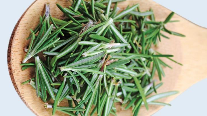 No pases todo el día en la cocina: Así debes de lavar los romeritos para tu cena navideña