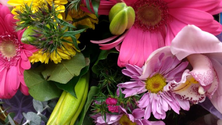 ¡Ten cuidado! Estas flores podrían verse lindas, pero ser muy toxicas para ti