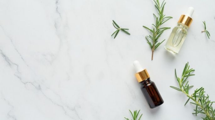 Acondicionador hecho con romero: Conoce cómo hacerlo y cuáles son sus beneficios