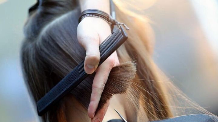 ¿Vas a ir a la peluquería? Sigue estos consejos para preparar tu cabello