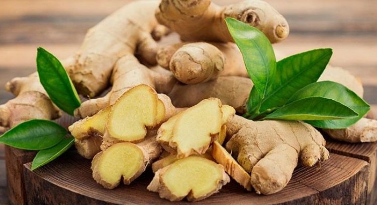 ¿Es bueno consumir jengibre todos los días? Conoce los peligros y beneficios de esta especial