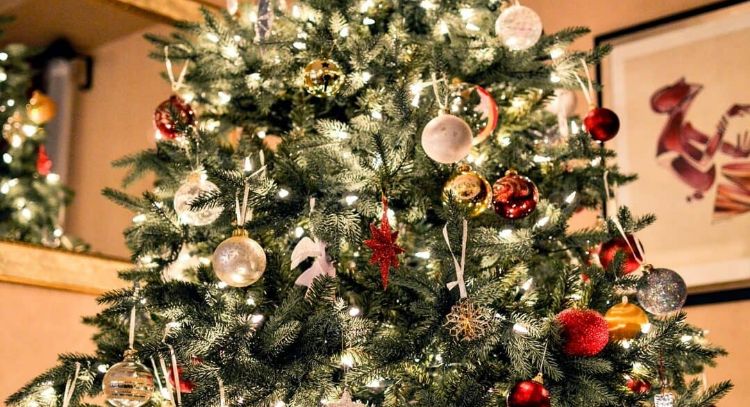 Cuidados que necesita tu árbol de Navidad natural para no perder sus agujas tan pronto