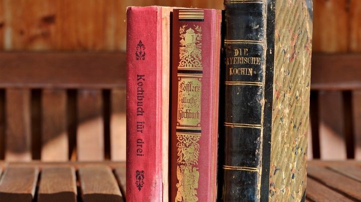 La razón por la que es absolutamente necesario poner tu libro en el congelador antes de leerlo