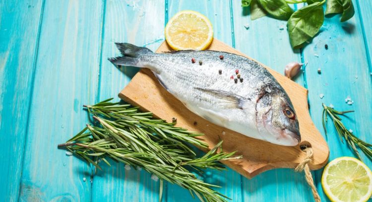 Estimula tu cerebro: Estos son alimentos que debes comer para no perder la memoria y concentración